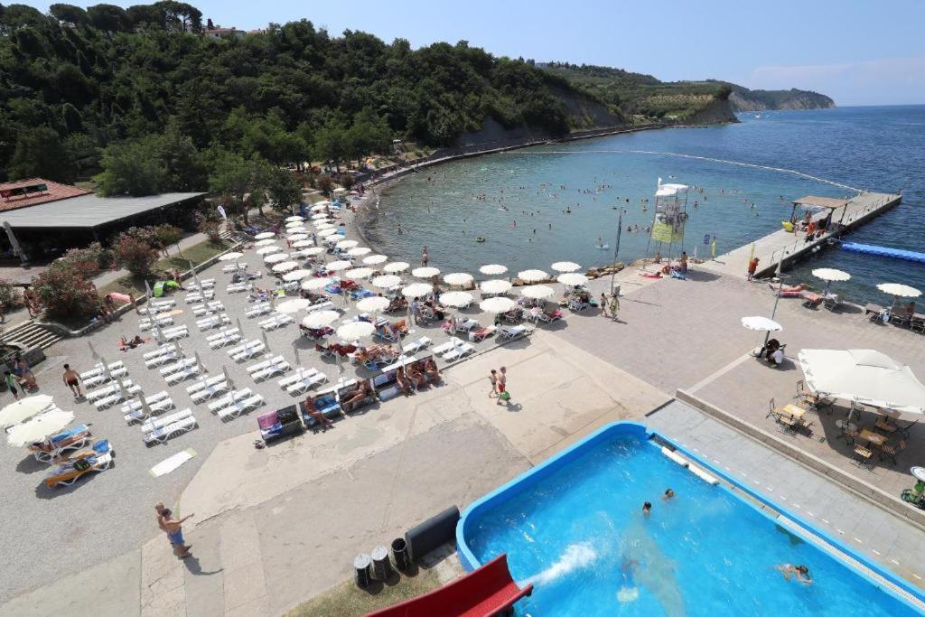 Parenzana Haven Hideaway Star Villa Izola Exteriör bild